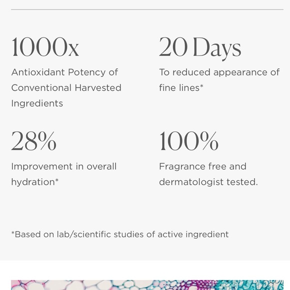 Regenerative Eye Gel INTELLIGENT NUTRIENTS - Picture 5 of 9